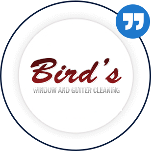 birdswindowandgutter.com